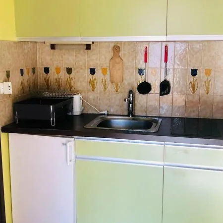 Cosy A Arcachon, A 200 M De La Et Proche Du Centre, Avec Balcon Ensoleille. - Fr-1-433-72 * Arcachon