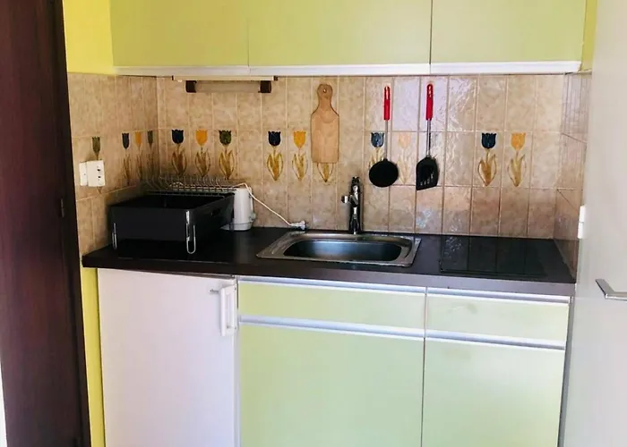 Cosy A Arcachon, A 200 M De La Et Proche Du Centre, Avec Balcon Ensoleille. - Fr-1-433-72 * アルカション