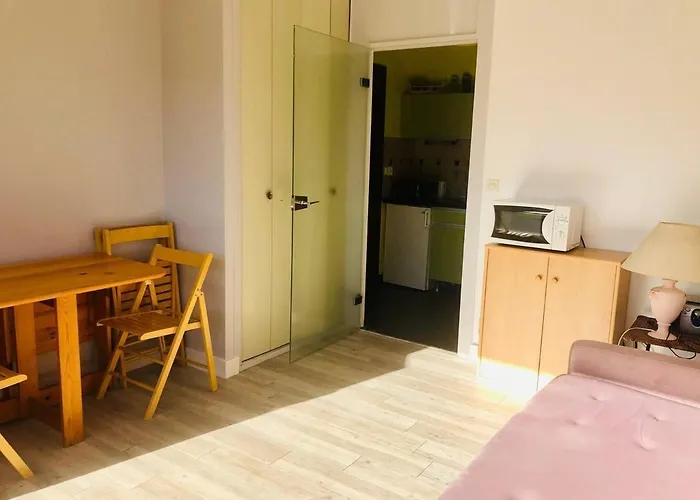 アパート Cosy A Arcachon, A 200 M De La Et Proche Du Centre, Avec Balcon Ensoleille. - Fr-1-433-72 アルカション